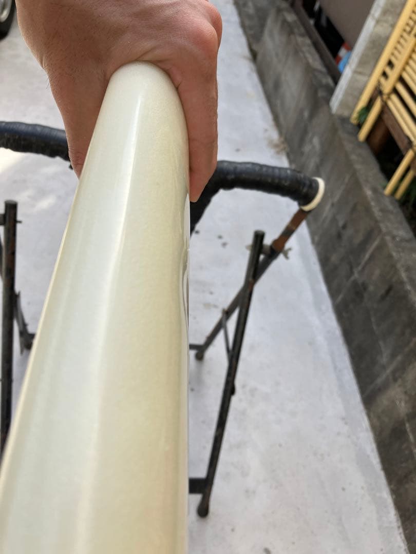 値下げDavid RastovichパーソナルProボードGregGriffin