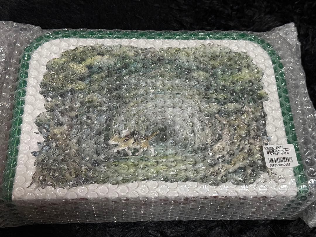 ボリス雑貨店 複製画 INペーパートランクSET ボリス ヒグチユウコ