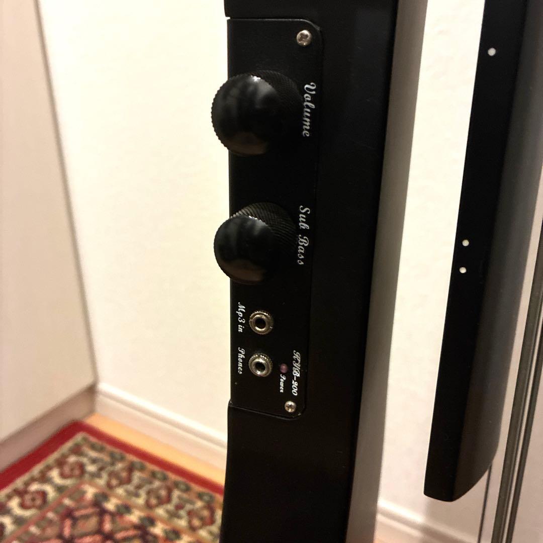 Hallstatt WBSE-850 アップライトベース、ケース付き