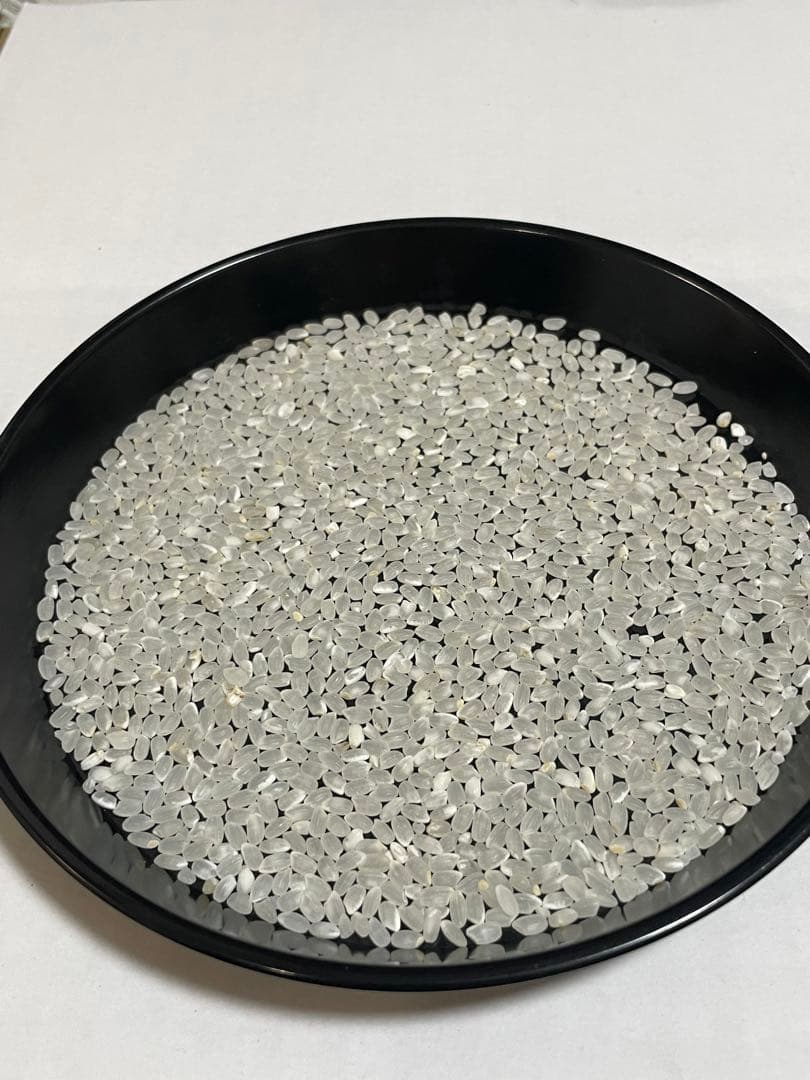 山口県産　令和6年産のお米　10kg