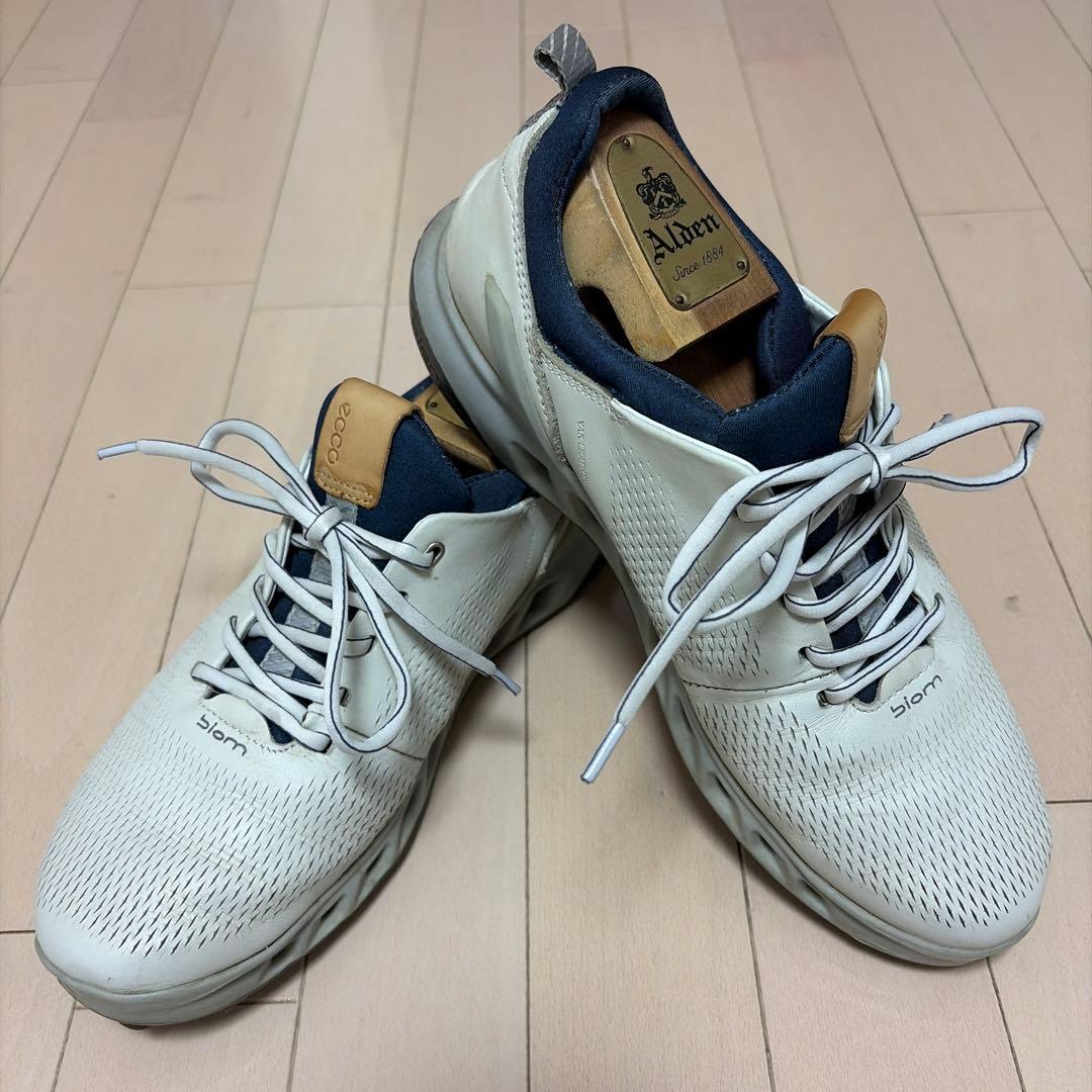 Ecco biom ゴルフシューズ 26cm