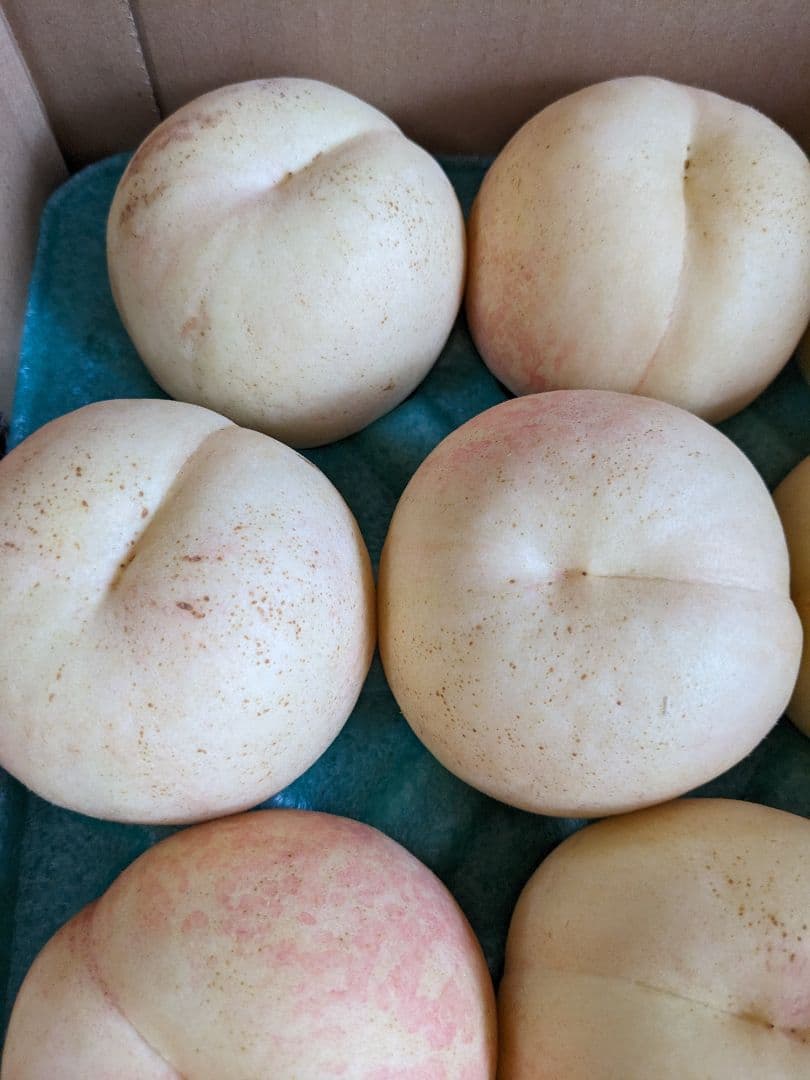 本日終了！桃☆CX(シーエック)大玉15個　5キロ箱　箱込み6.5キロ