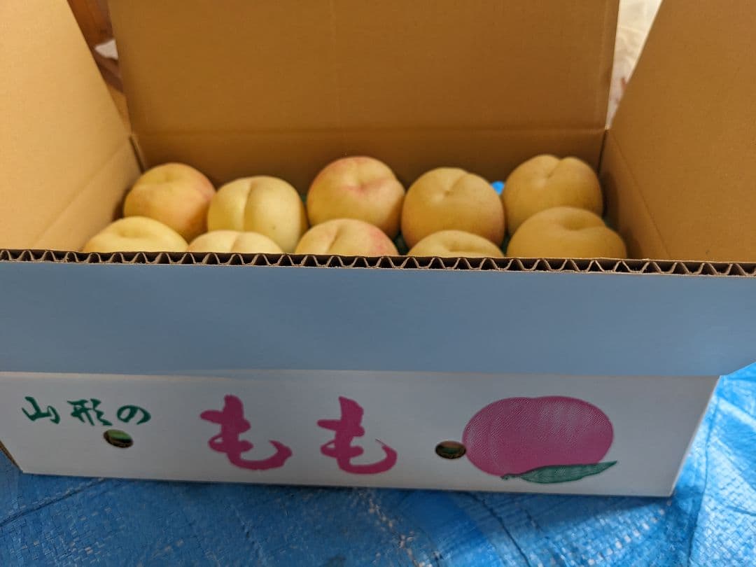 本日終了！桃☆CX(シーエック)大玉15個　5キロ箱　箱込み6.5キロ