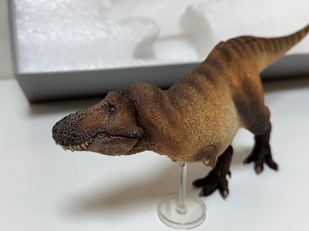 PNSO 恐竜　ティラノサウルス　1/35サイズ