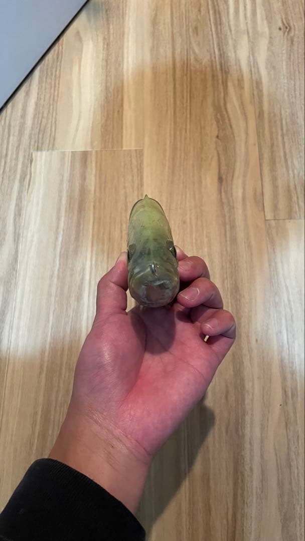 コードネームバス　チャートバッククリア