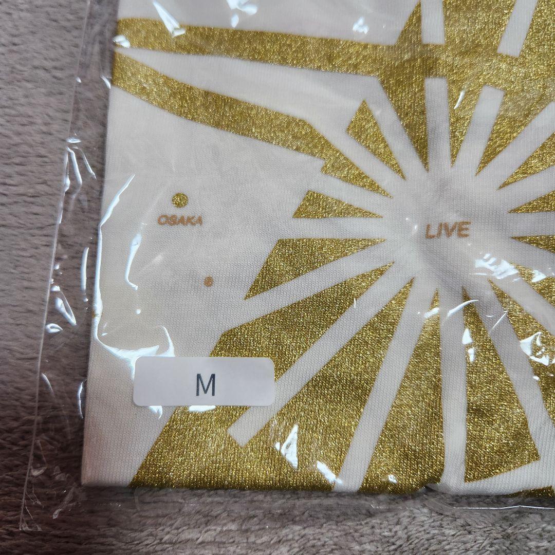 林檎博24 vivision 新潟限定Tシャツ