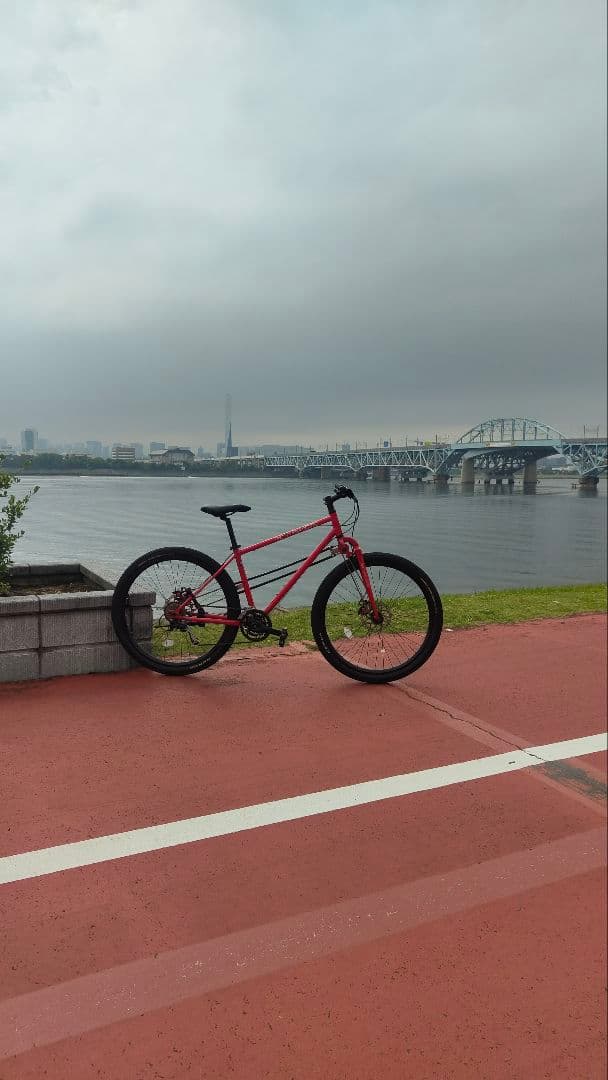 【超希少品】【二輪駆動】TWO RING マウンテンバイク 29インチ　ジャンク