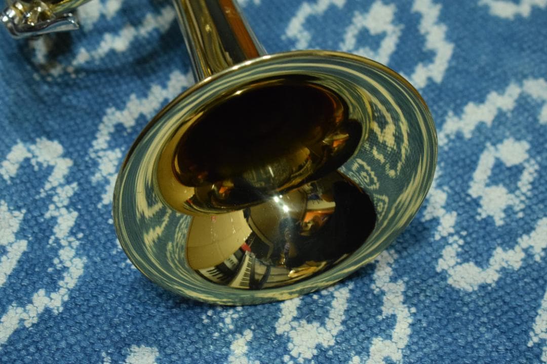 Bach TR Series TR-600 GL 状態良好 ハードケース付属