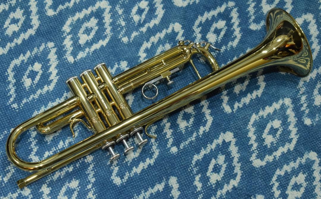 Bach TR Series TR-600 GL 状態良好 ハードケース付属