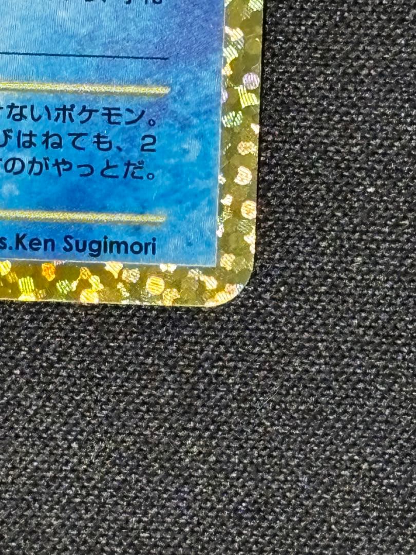 ひかるコイキング 25th