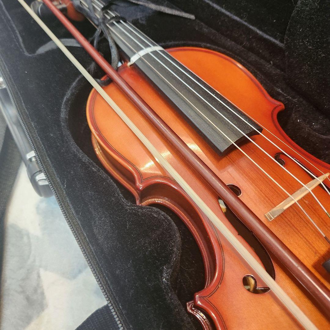 Carlo giordano VS-1 1/2 2021年製　カルロジョルダーノ