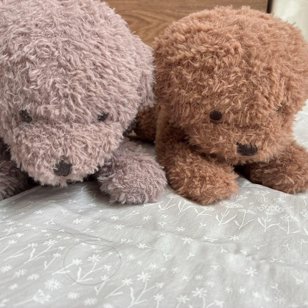 ジェラートピケ　トイプードル　ぬいぐるみ　2匹セット