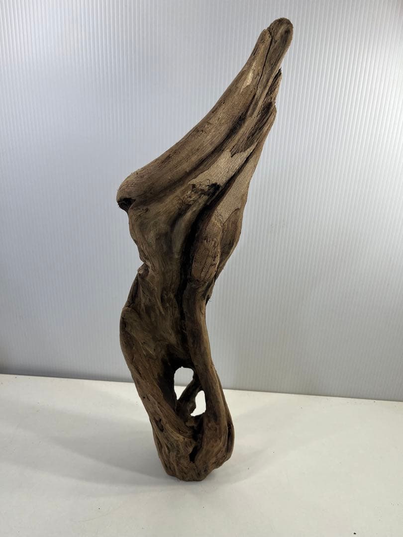 k50アク抜き済み流木 爬虫類シェルター レイアウト用 登り木 インテリア