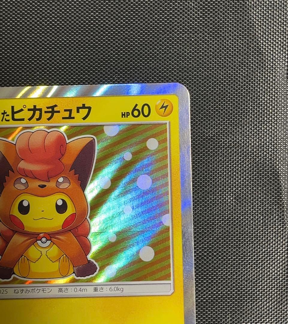 038/sm-p ポンチョを着たピカチュウ