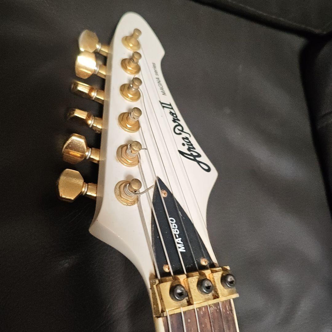 N*T様 AriaProII MAGNA series MA-650