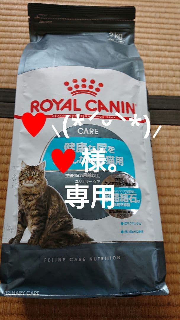 ♥️⸜(*ˊᵕˋ*)⸝‬♥️様。専用 ロイヤルカナン