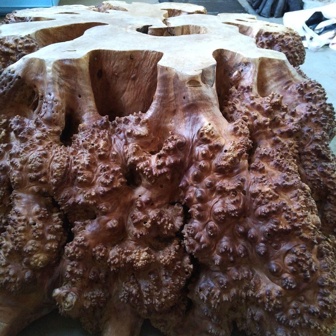 瘤のオブジェ・木製・無垢・天然木・切り株・飛騨産