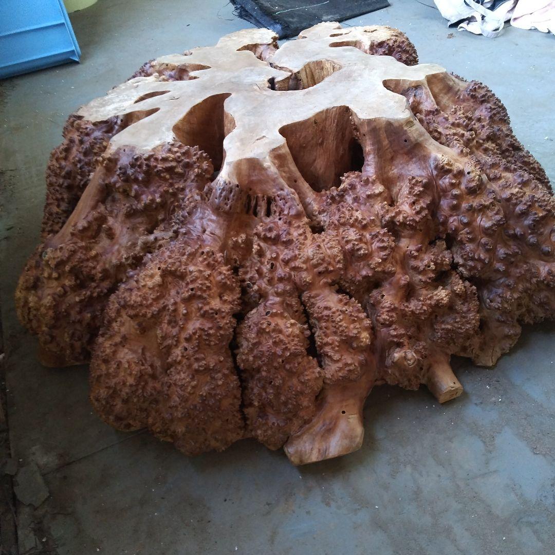 瘤のオブジェ・木製・無垢・天然木・切り株・飛騨産