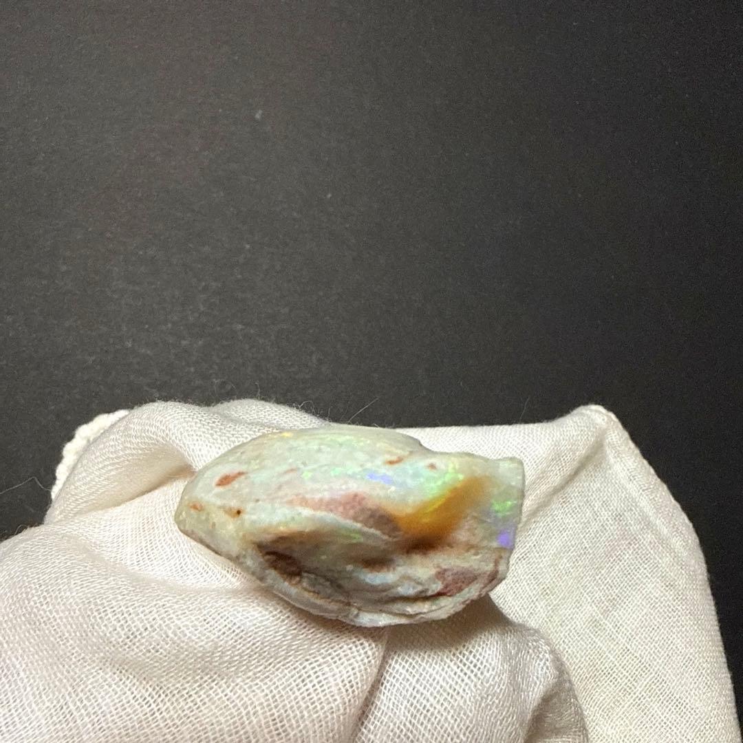シェルオパール 貝オパール オパール化貝化石 オパライズドシェル