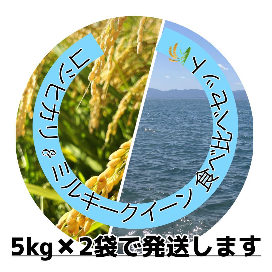 【令和7年度新米】近江米 ミルキークイーン 5kg＋コシヒカリ5kg