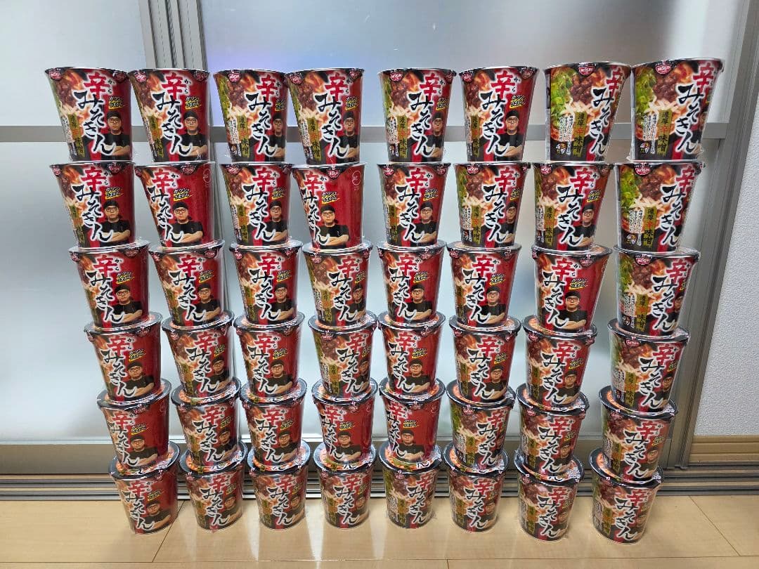 辛みそラーメン 48個セット 新品・未開封