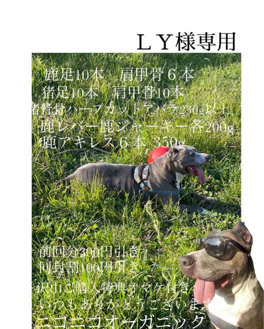 ドッグフード LY