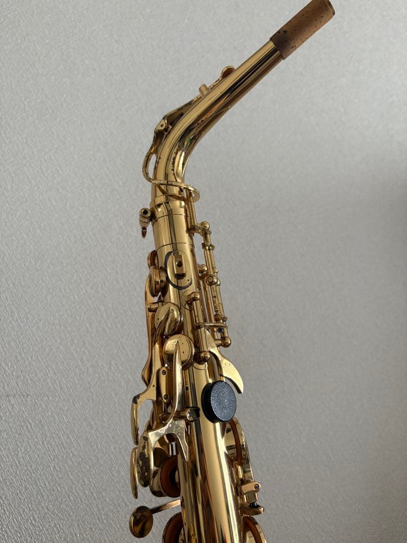 ヤナギサワ アルトサックス A-900