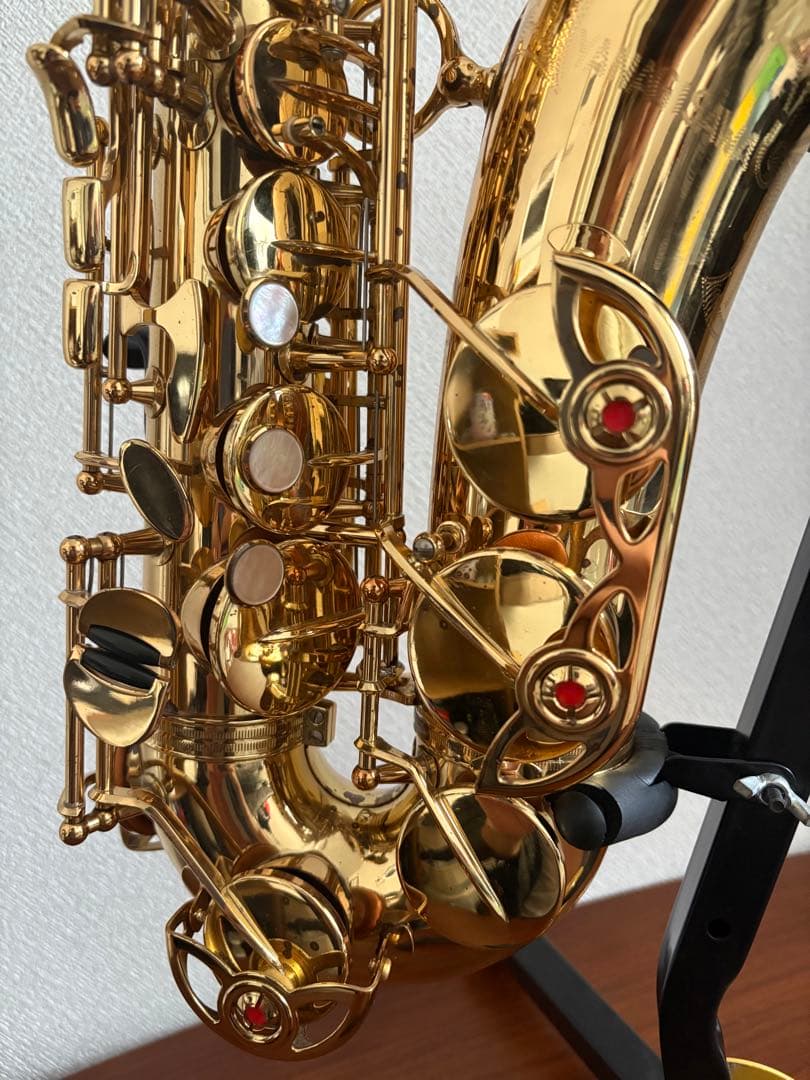 ヤナギサワ アルトサックス A-900