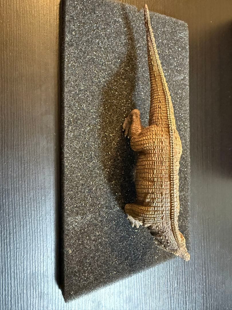 地球最古の恐竜展　サウロスクス　本格復元フィギュア