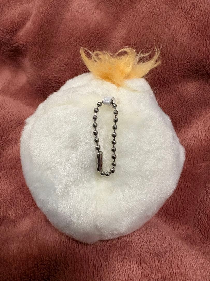 藤井風　windy ウィンディ