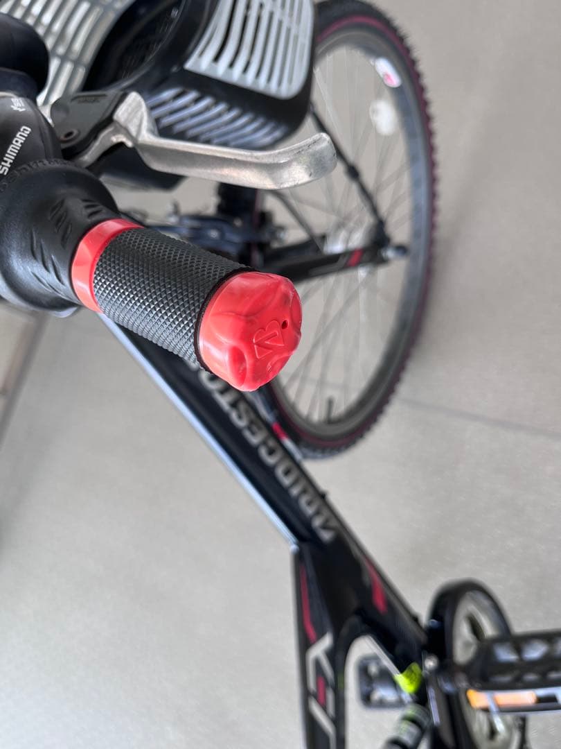 【直接お渡し限定】　ブリヂストン　エクスプレスジュニア　24インチ　点灯虫