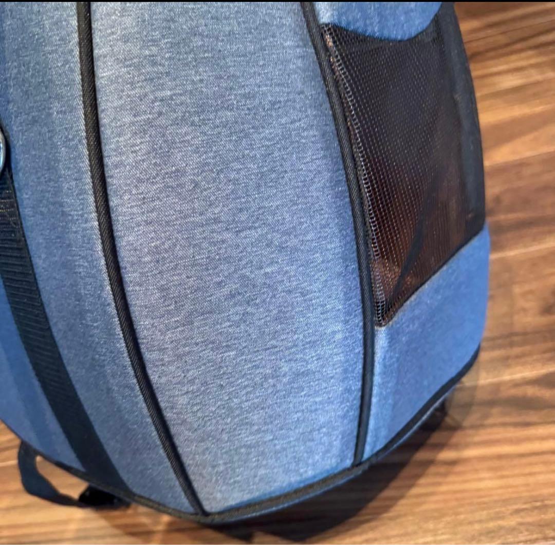 美品　スイートハート　ペットキャリー　ファンタジーワールド Lサイズ　リュック