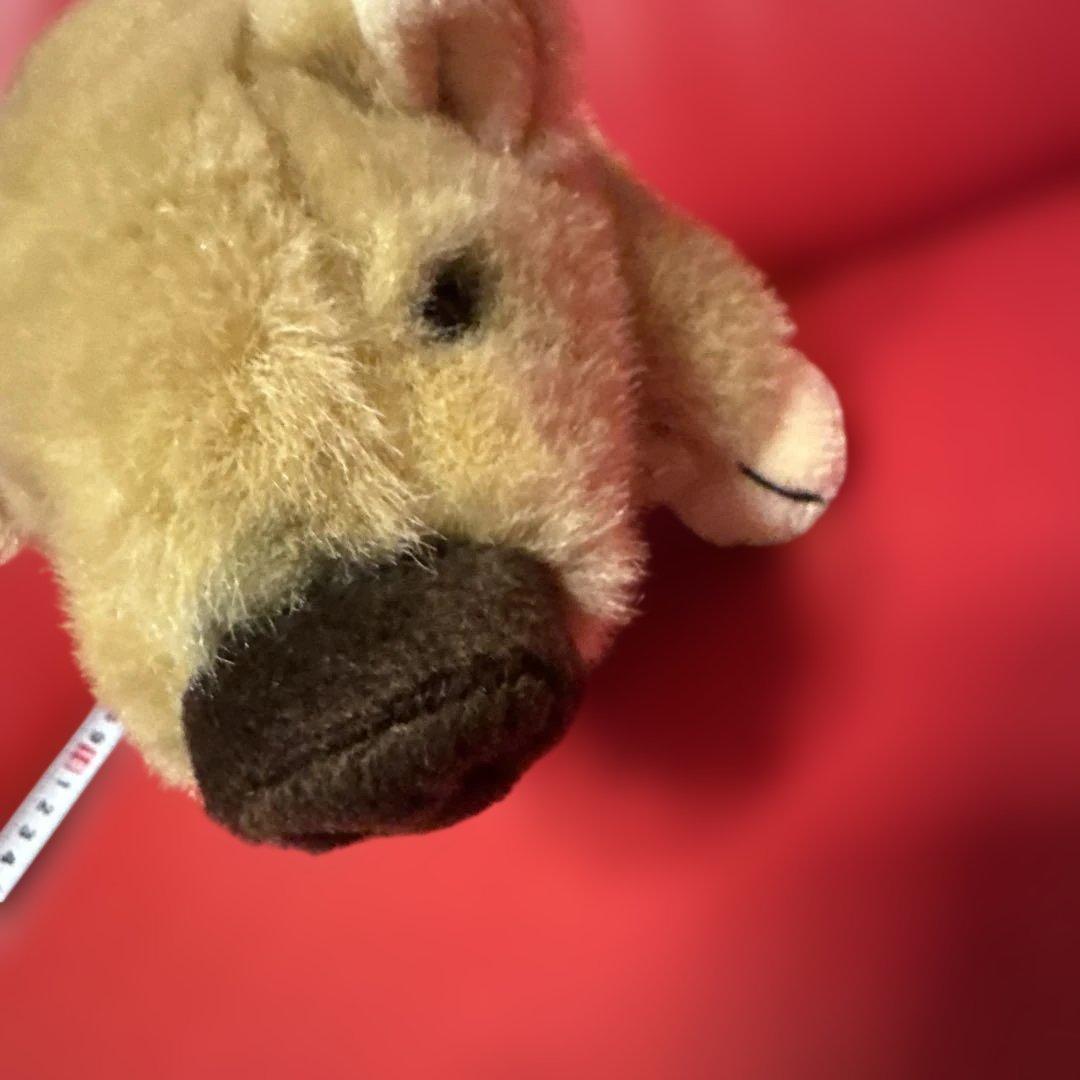レトロ　ぬいぐるみの山英　イノシシ(うり坊)　ぬいぐるみ