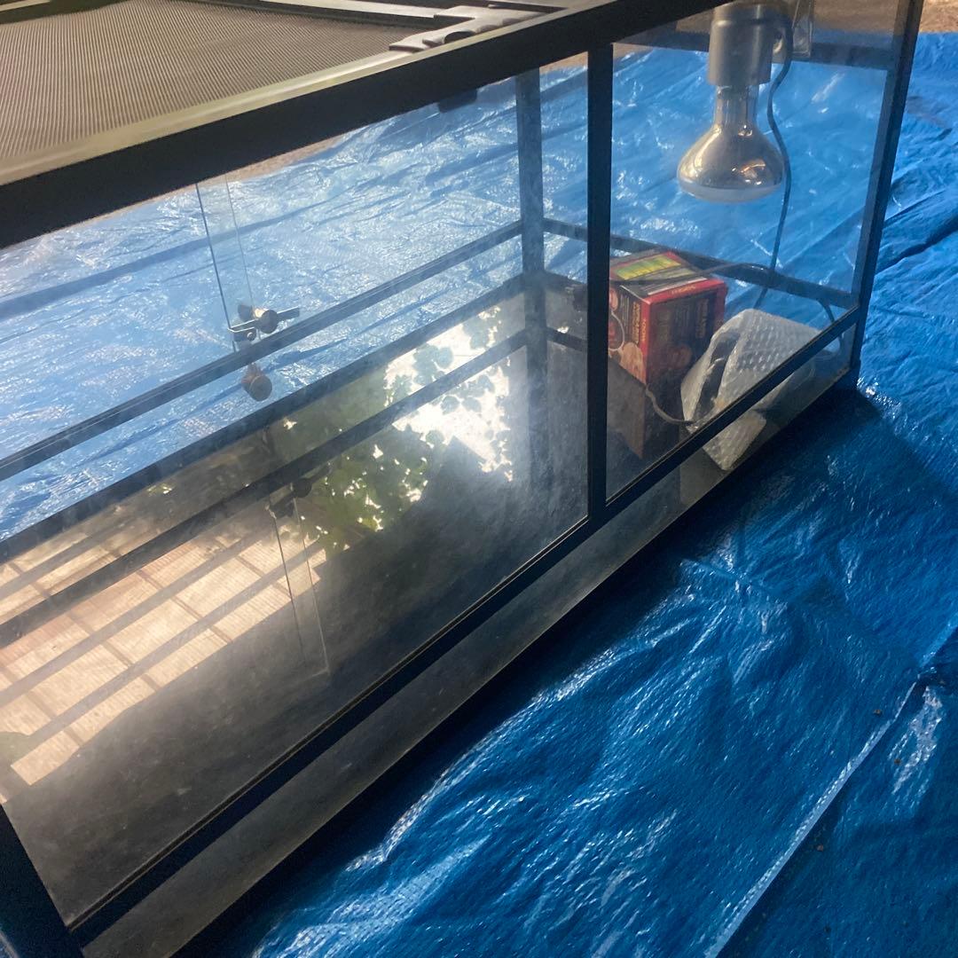 お茶　パンテオンブラックBK9045