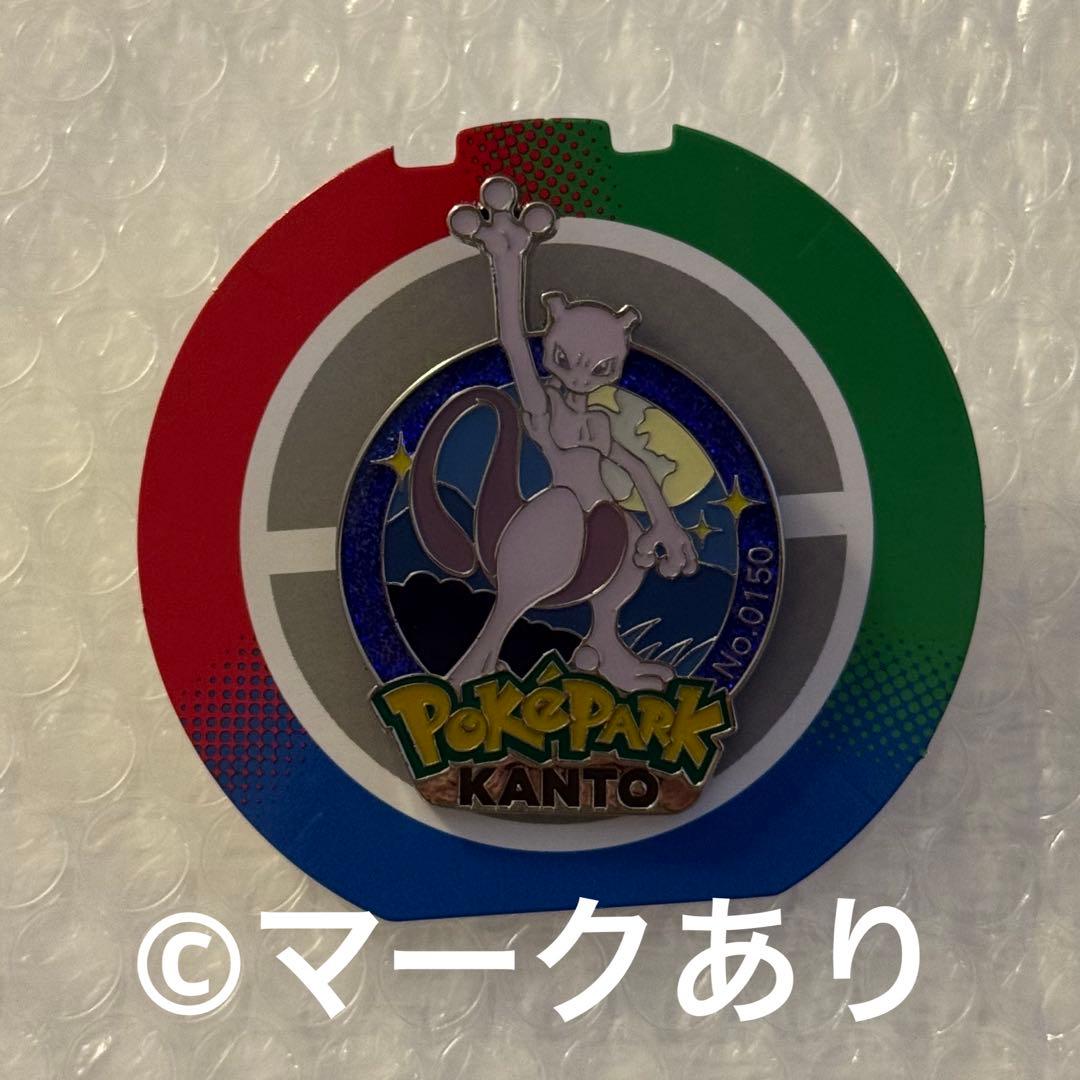 ポケパーク カントー 限定 ピンバッジ ピンズ ミュウツー