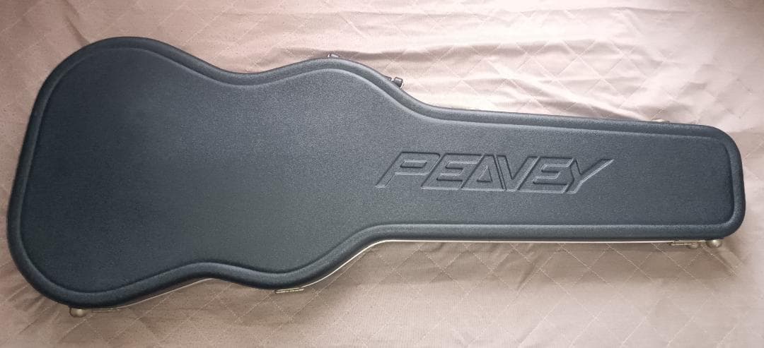 Ｗolfgangエレキギター　EVH