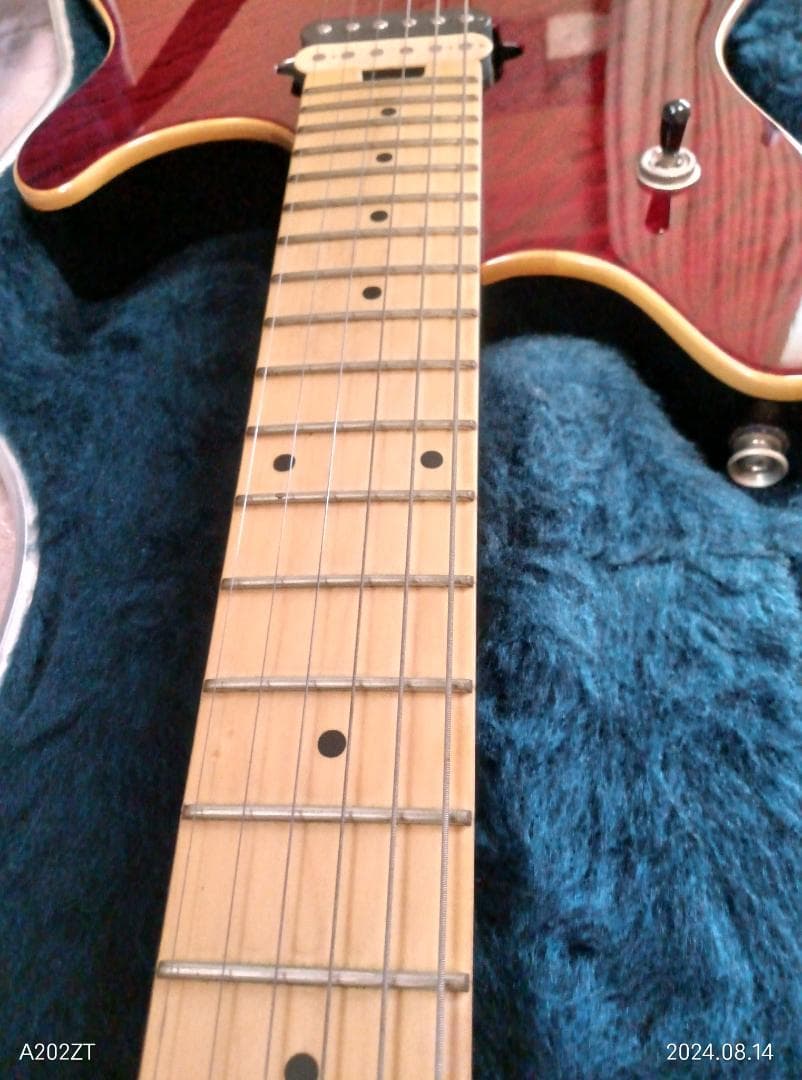 Ｗolfgangエレキギター　EVH