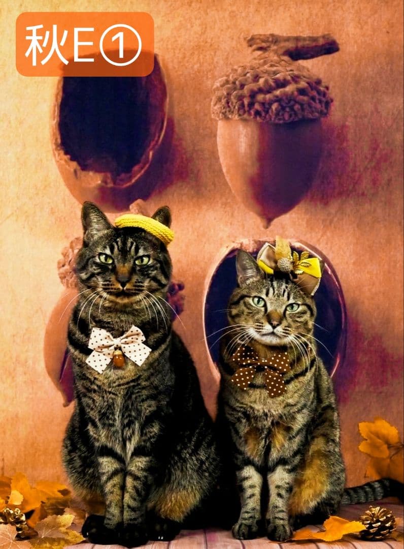 背景布　【　ハロウィン I　】　サンプル　お月見さん、十五夜、9月