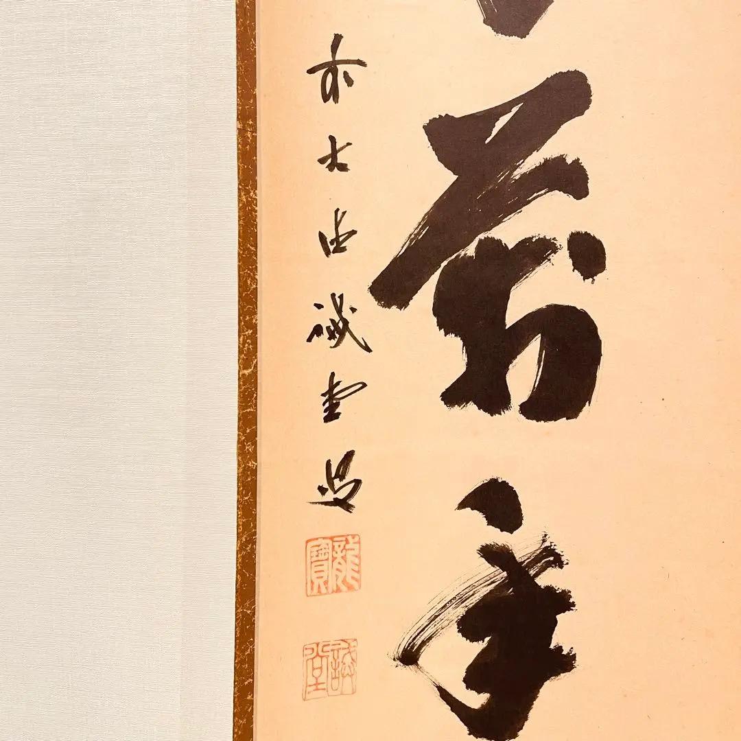 3028 藤井誡堂 「緑毛萬年亀」 共箱 肉筆 紙本 掛軸 臨済宗 大徳寺 禅語