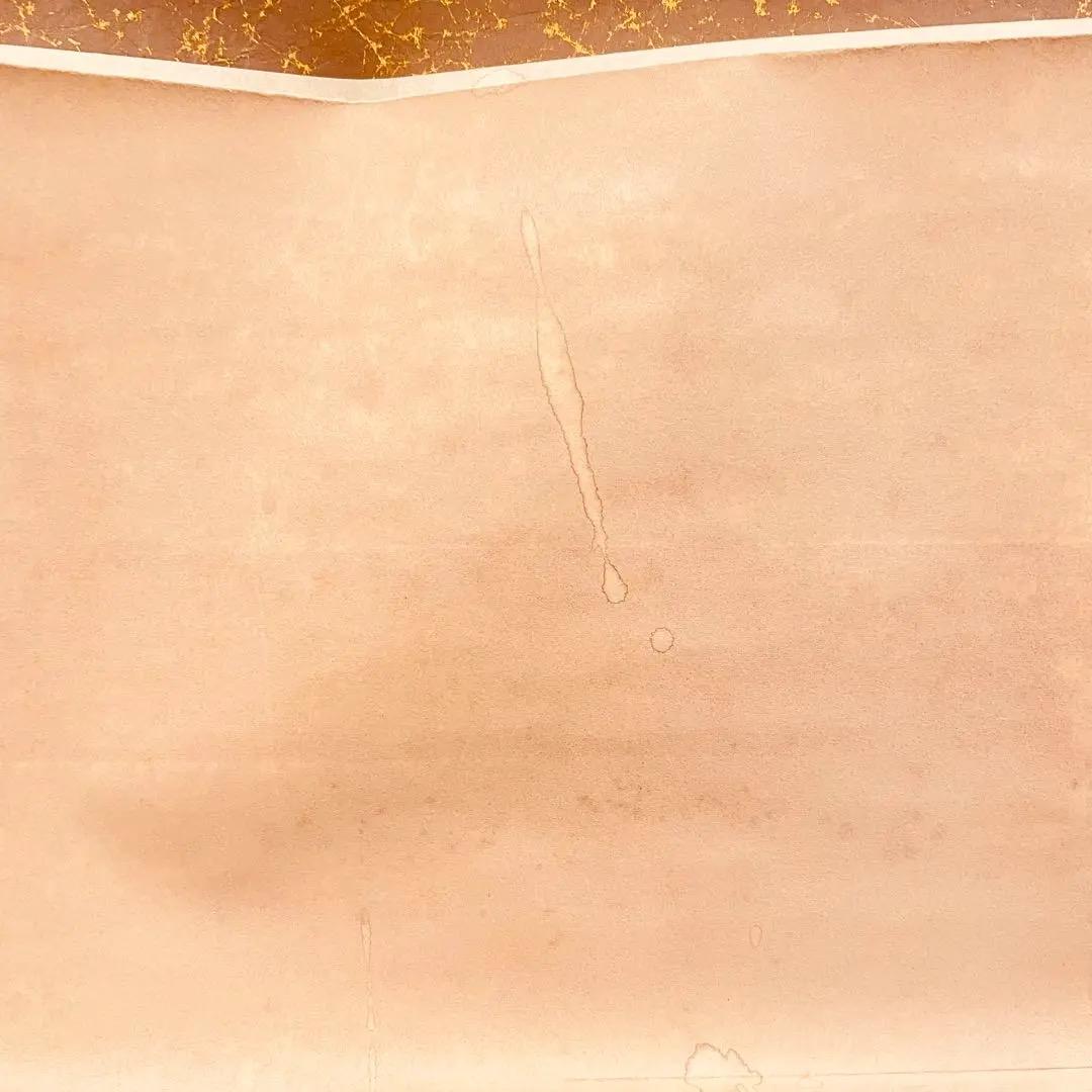 3028 藤井誡堂 「緑毛萬年亀」 共箱 肉筆 紙本 掛軸 臨済宗 大徳寺 禅語