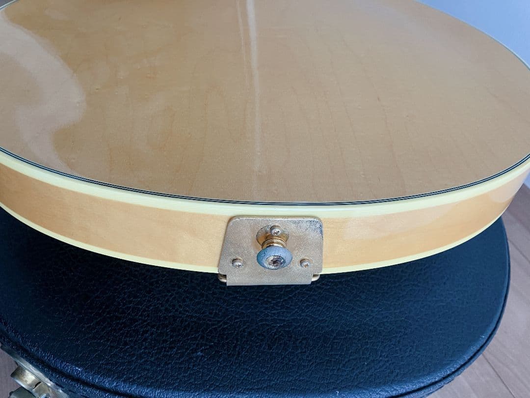 Ibanez PM120 Pat Metheny Signature フルアコ