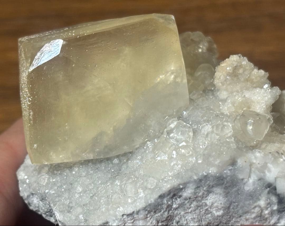 【福建省産】　イエローカルサイト