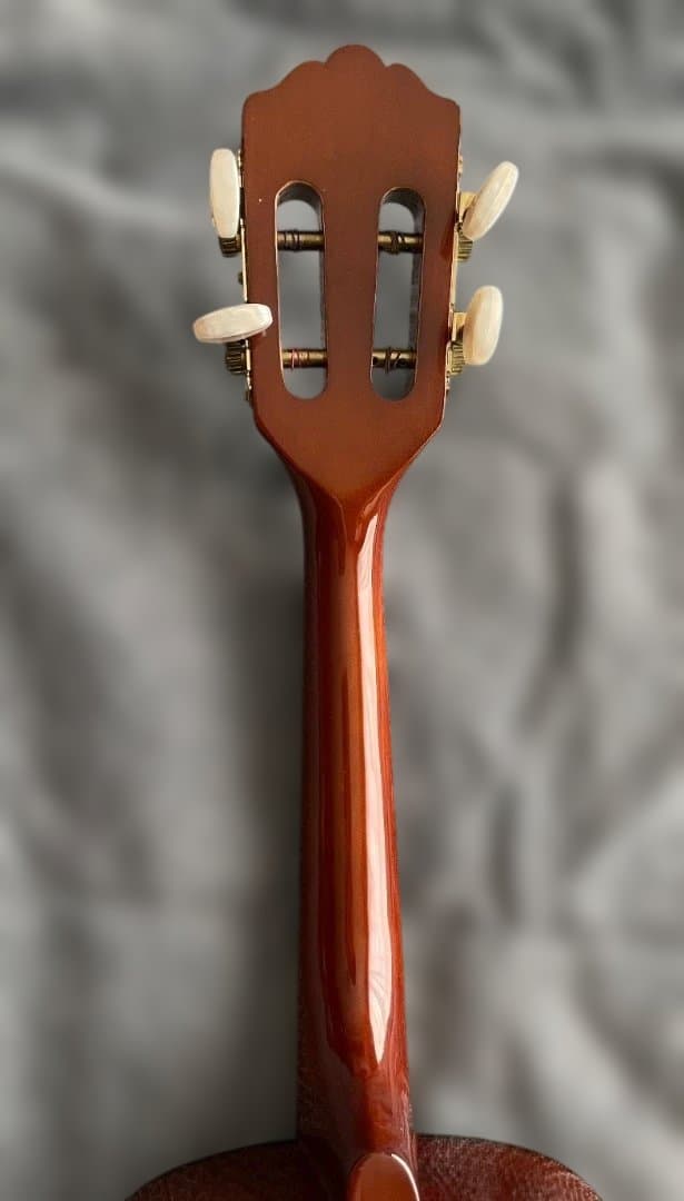 Terra Brasil Cavaquinho ピックアップ内蔵カヴァキーニョ