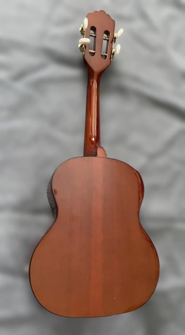 Terra Brasil Cavaquinho ピックアップ内蔵カヴァキーニョ