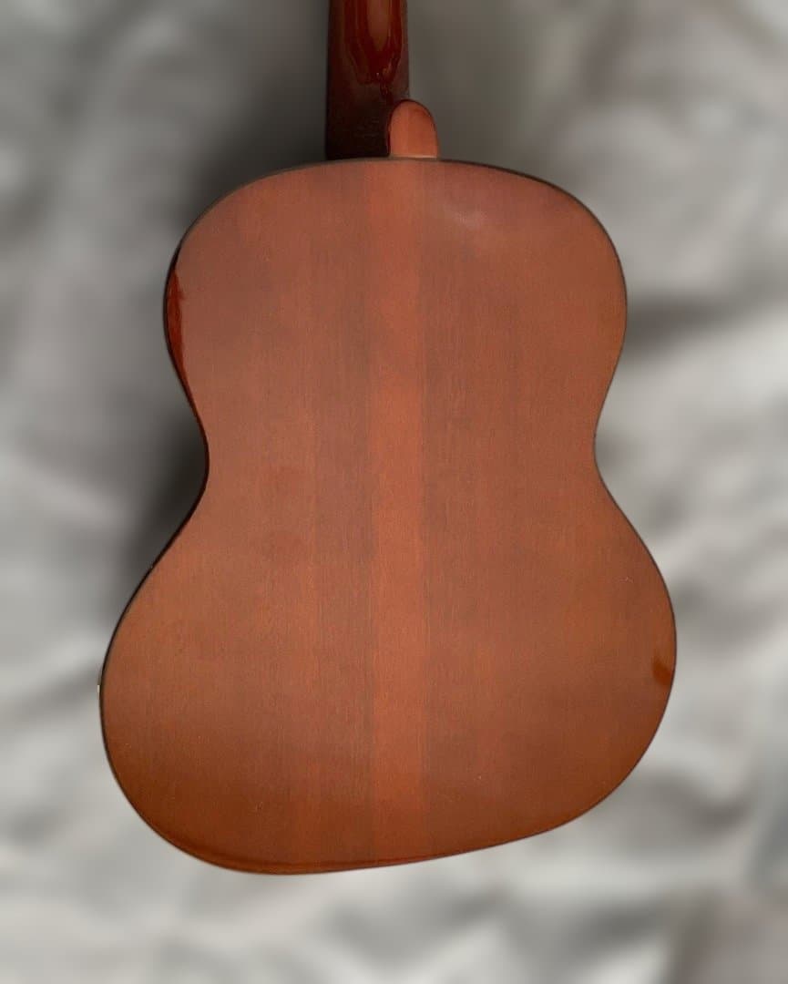 Terra Brasil Cavaquinho ピックアップ内蔵カヴァキーニョ