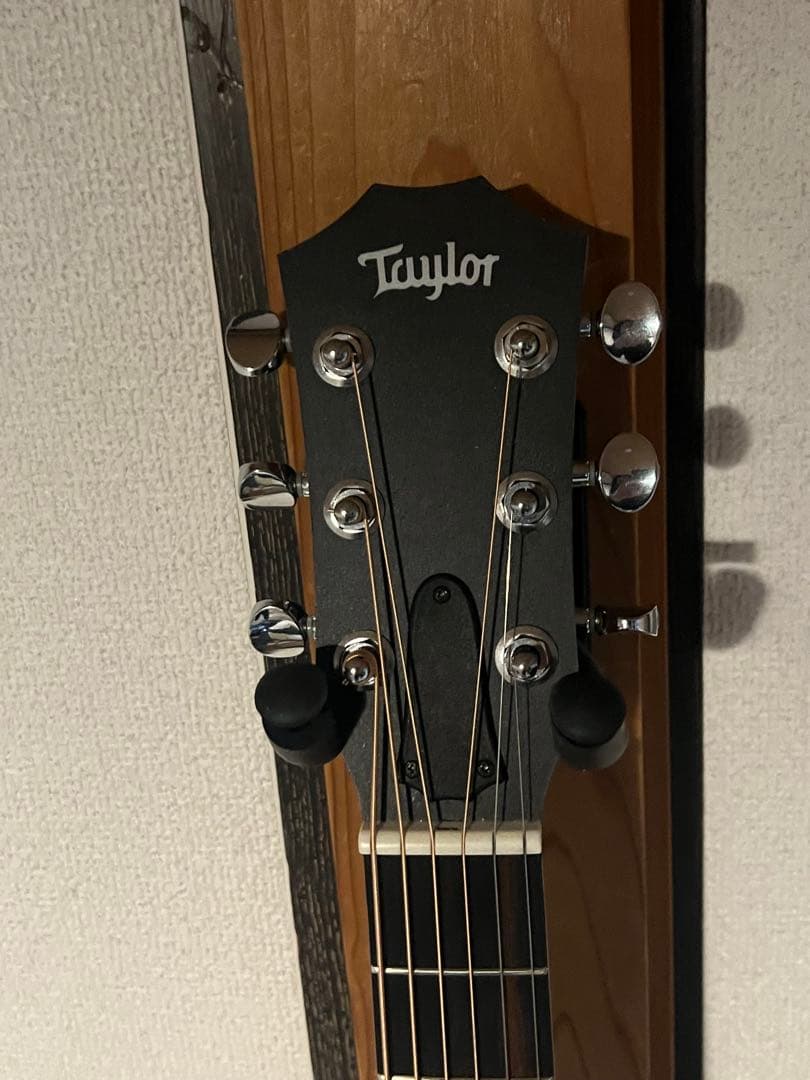 U*e様 gs mini-e Taylor rosewood ES-2 エレアコ
