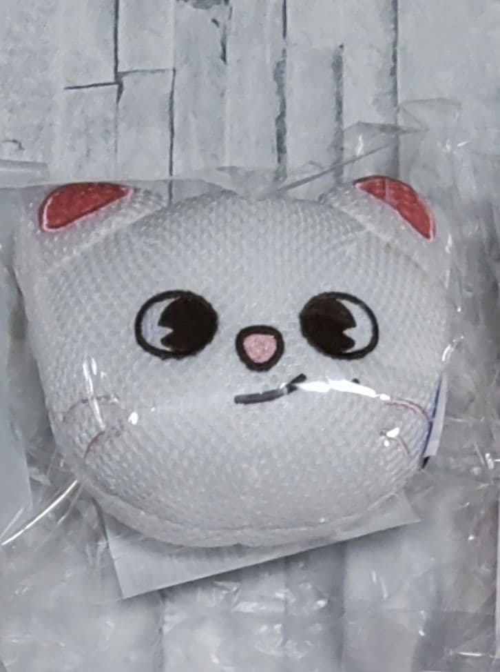 straykids ヒョンジン ジニレット まとめ売り フーディ 南京錠