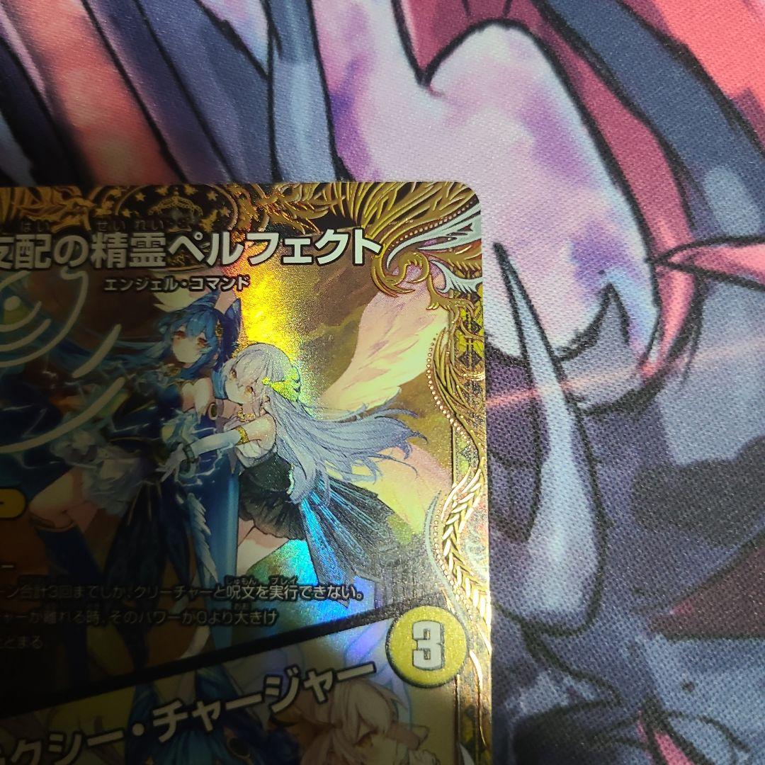 支配の精霊ぺルフェクト 金トレ