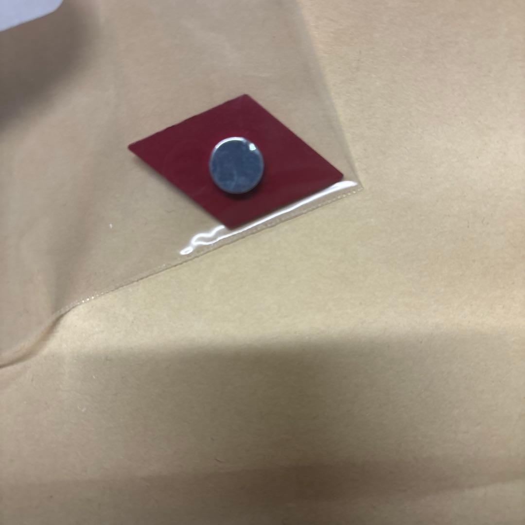 【超レア】大関西万博2025 モナコ館 公式ピンバッジ