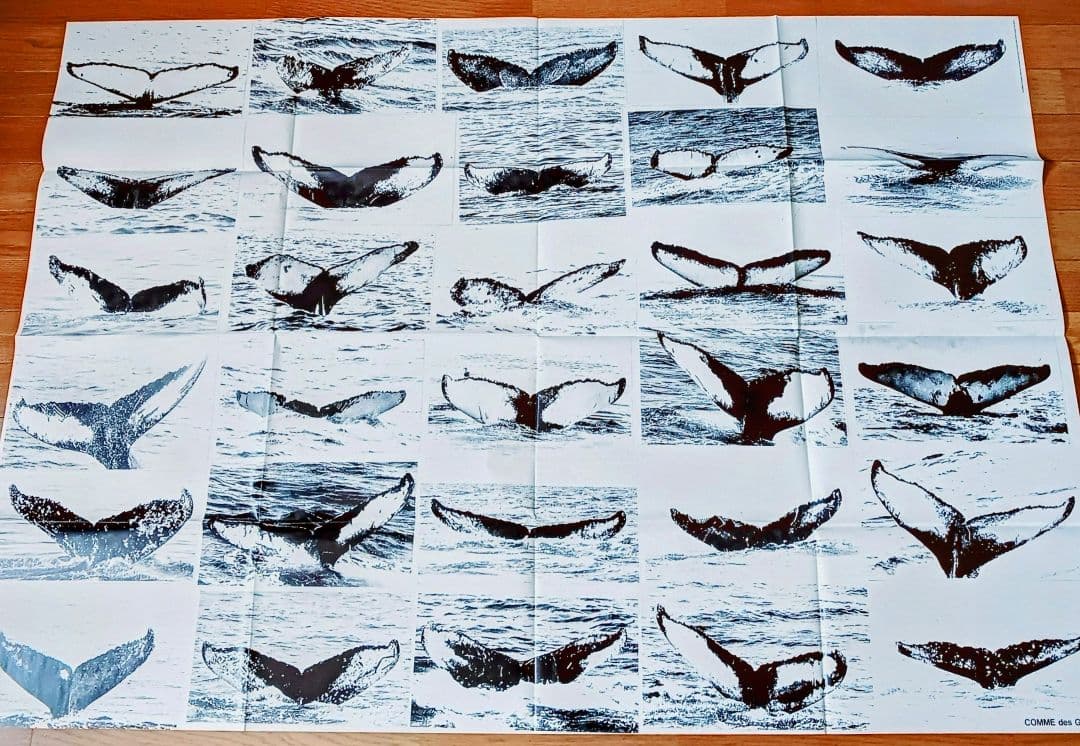 ◻️コム・デ・ギャルソン 　クジラ ブリーチング 特大ポスター